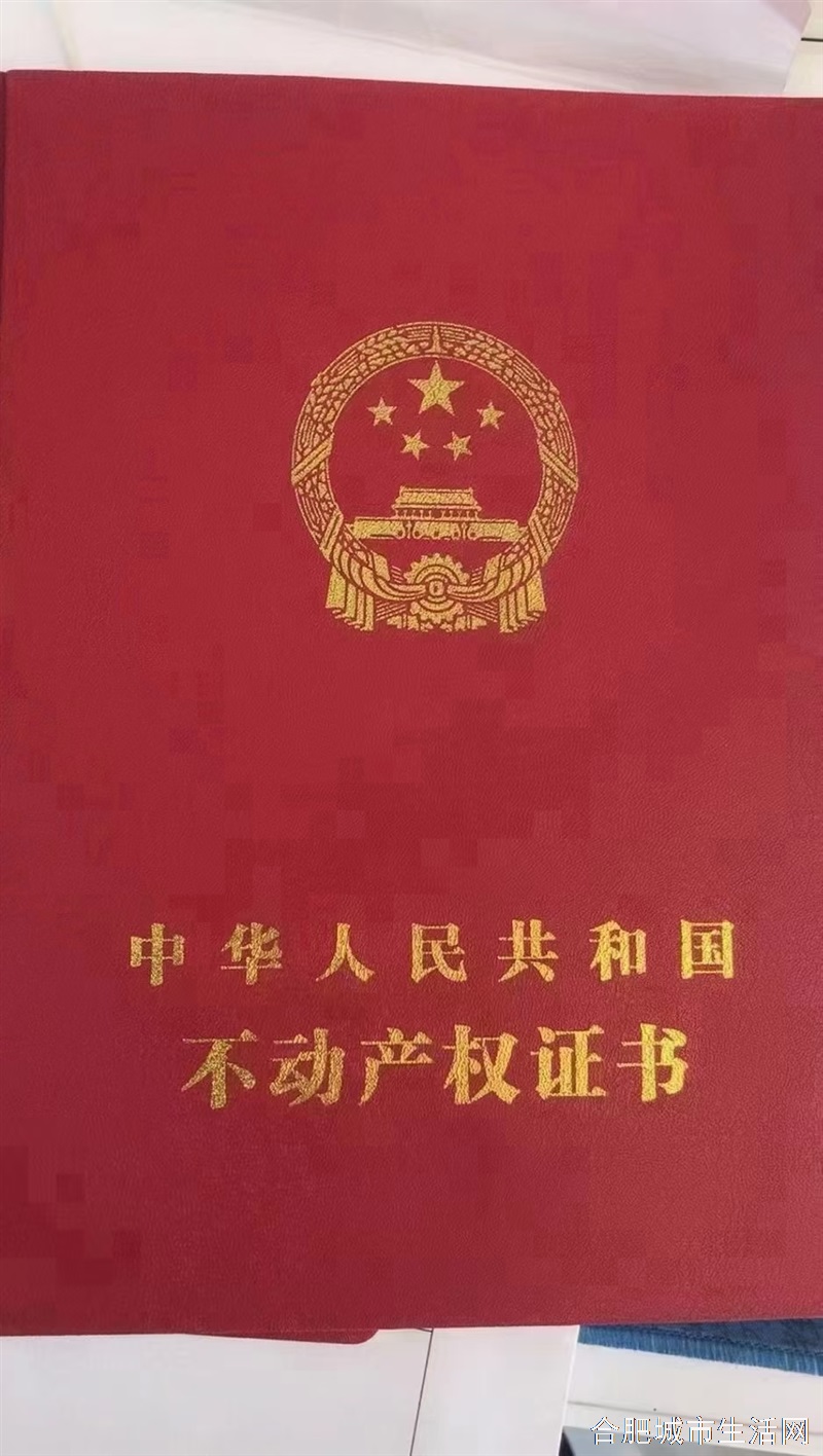 东海星城精装修一室一厅急租